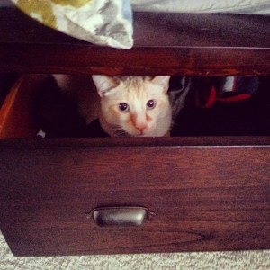 This is from the front of our bed from a "I'm in a drawer" POV. 